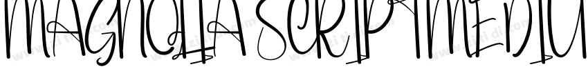 MAGNOLIA SCRIPTMEDIU字体转换